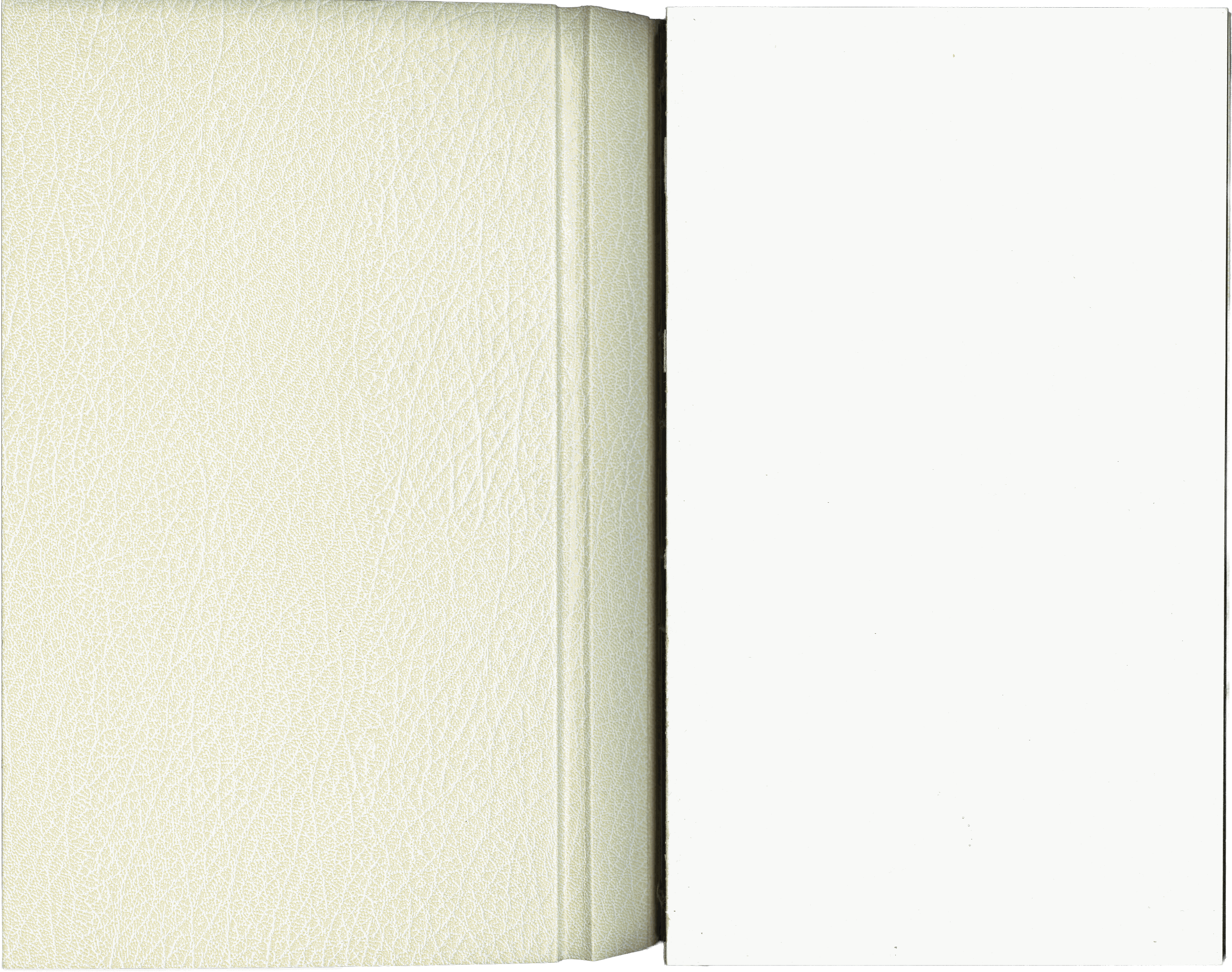 Ecclesiastes floating composition 02