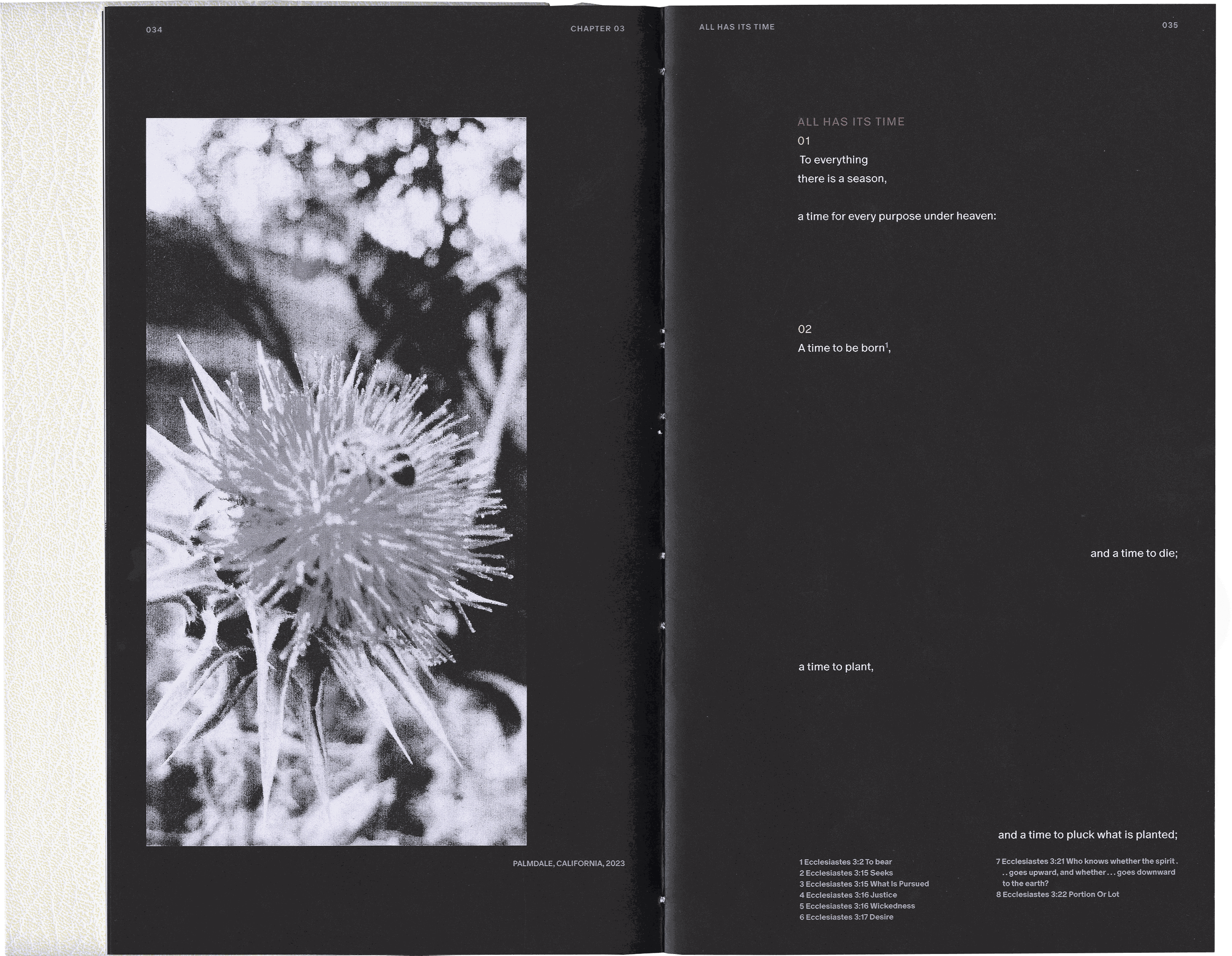 Ecclesiastes floating composition 20